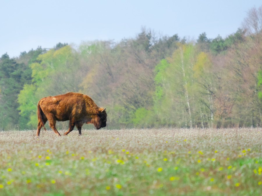Natuurgebieden Brabant Natuurgebieden Brabant