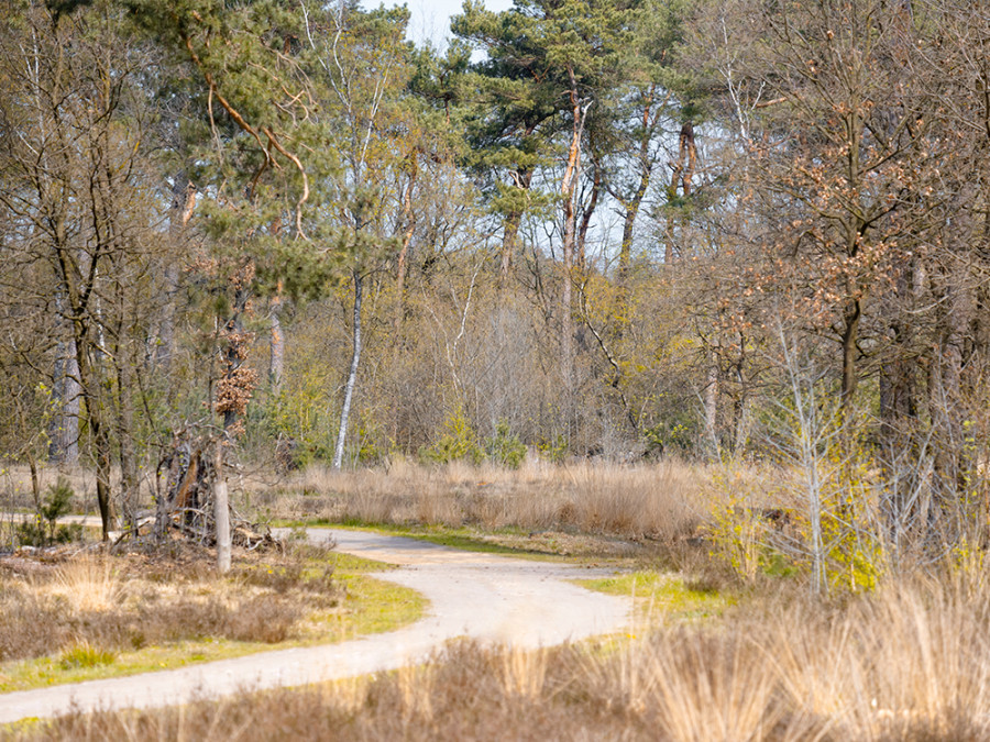 Natuurbegraafplaats Maashorst Natuurbegraafplaats Maashorst