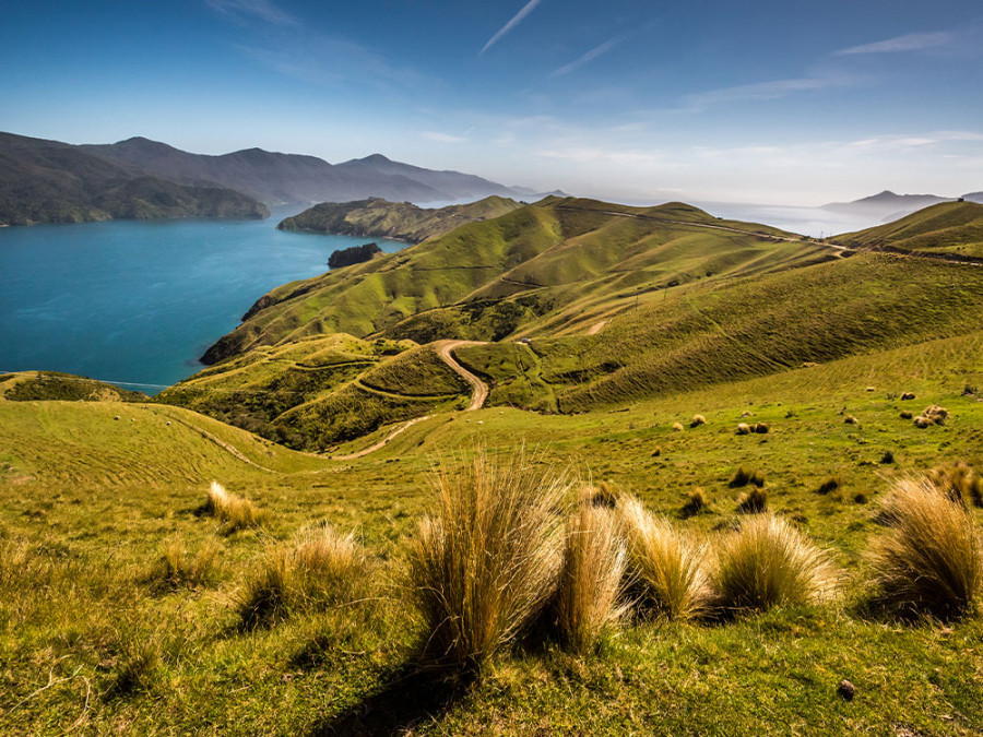 Queen Charlotte Track Queen Charlotte Track