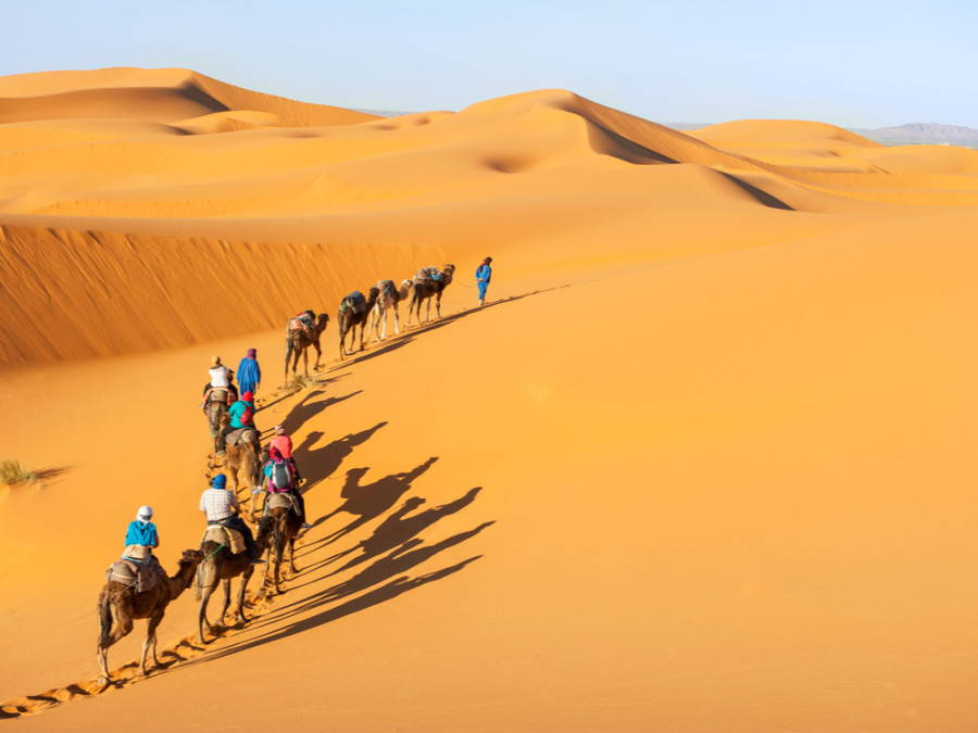 Sahara expeditie
