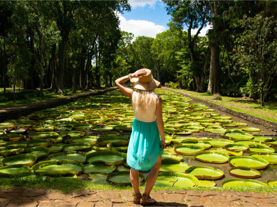 Natuur in Mauritius Natuur in Mauritius