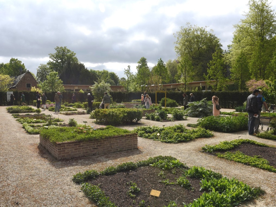 Middeleeuwse tuin Middeleeuwse tuin