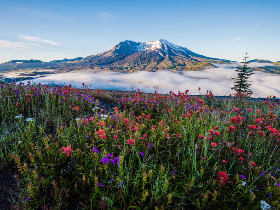 Mooiste plekken Washington State Mooiste plekken Washington State