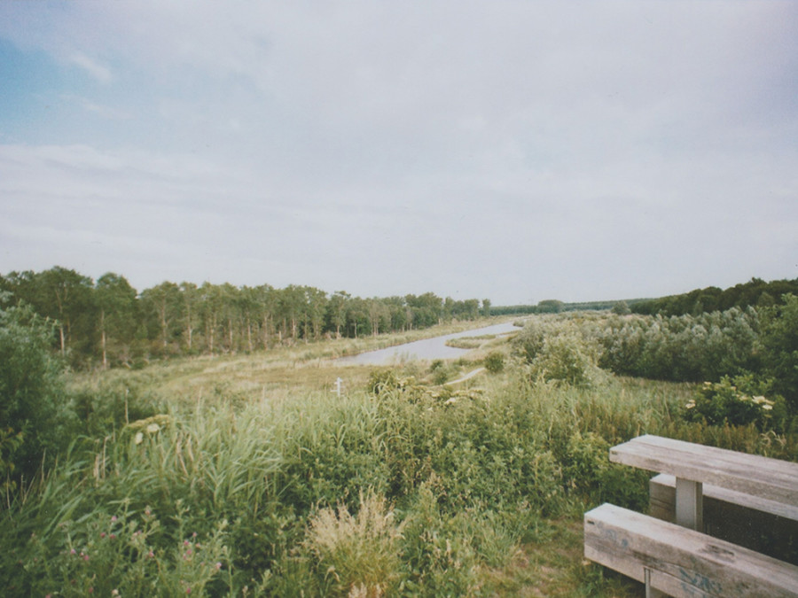 Bossen flevoland Bossen flevoland