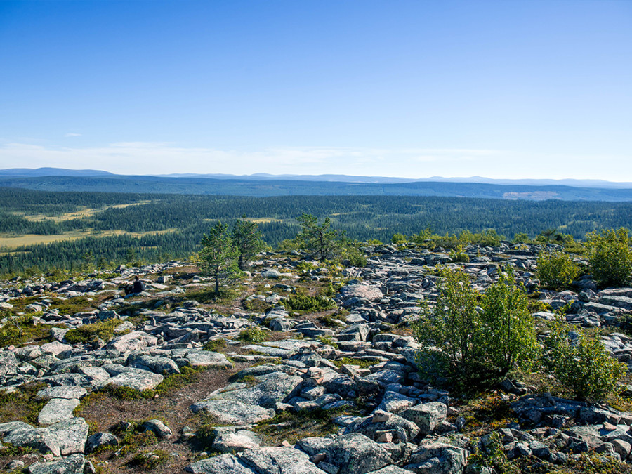 Salla National Park Salla National Park