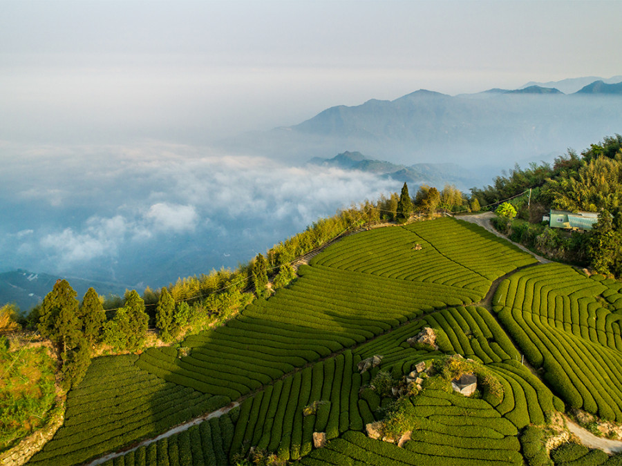 Natuur Taiwan Natuur Taiwan