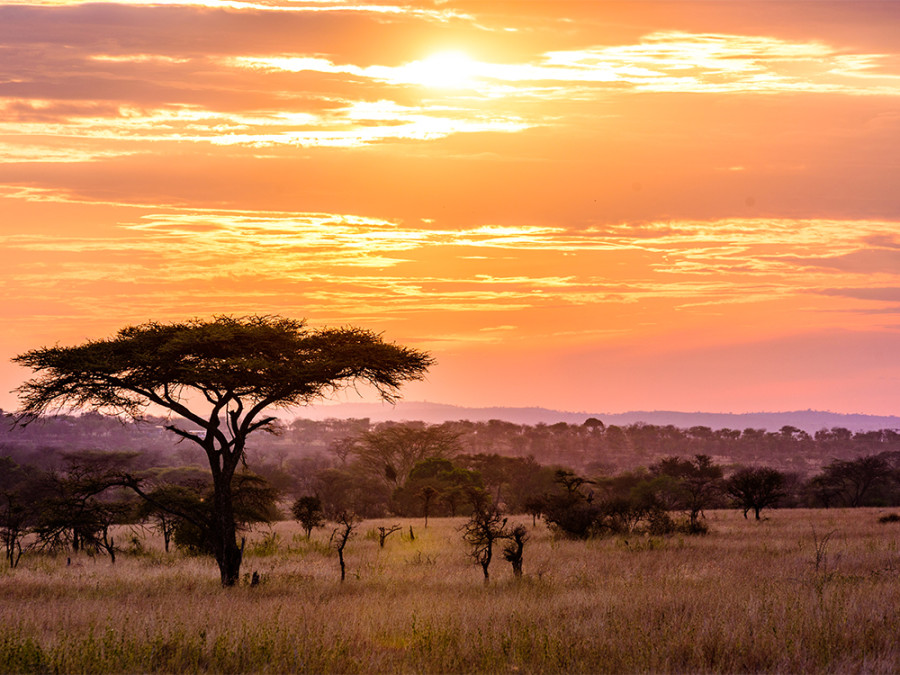 Natuur Kenia