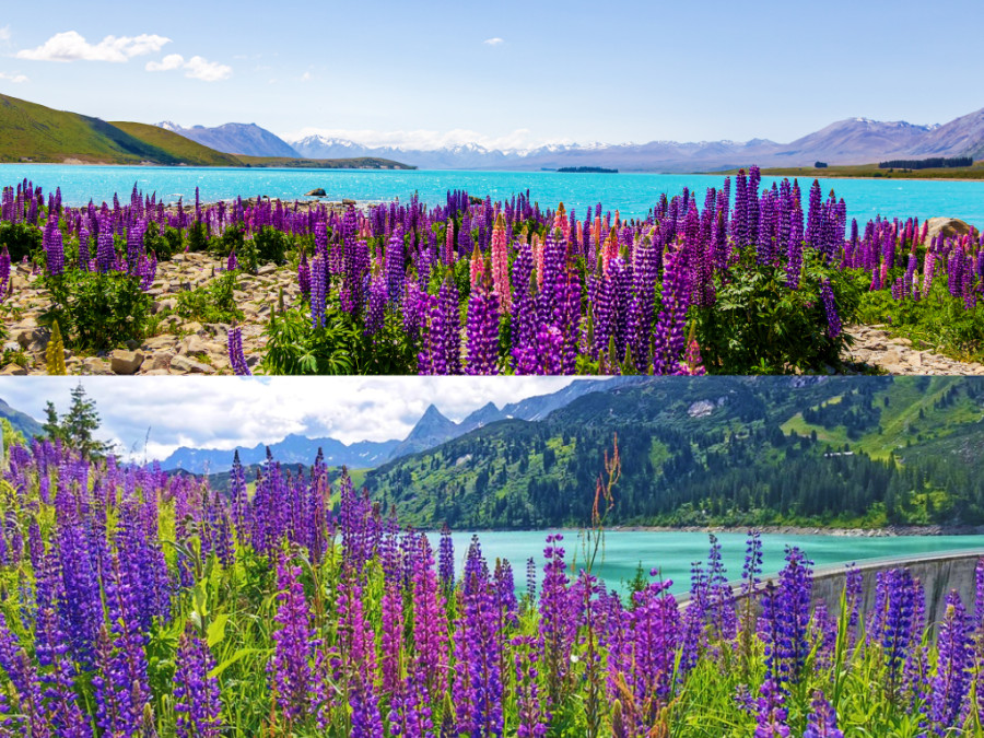Lake Tekapo vs Kops Stausee Lake Tekapo vs Kops Stausee