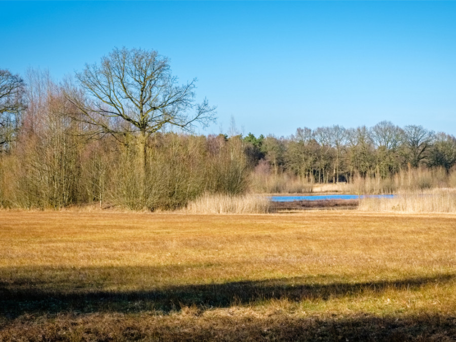Buurserzand Buurserzand