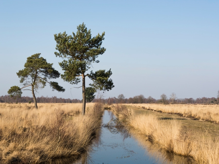 Limburg Limburg