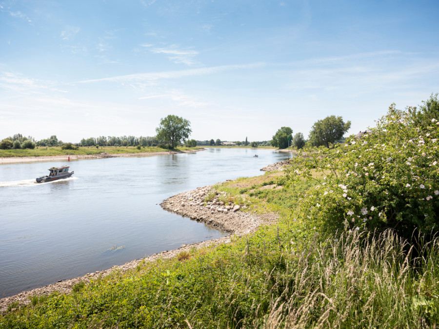 Uiterwaarden IJssel Uiterwaarden IJssel