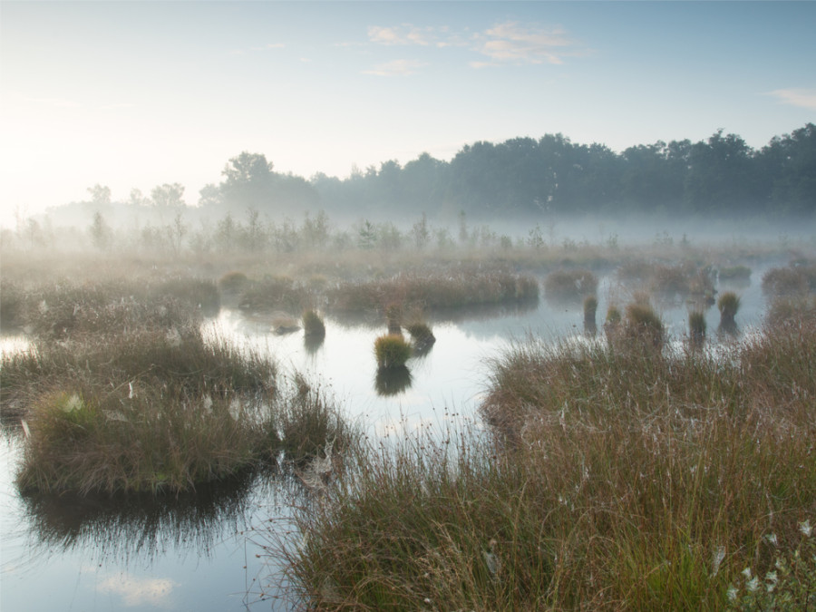 Haaksbergerveen Haaksbergerveen