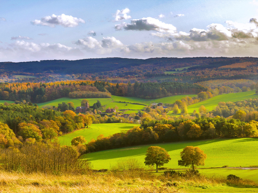 Surrey Hills Surrey Hills