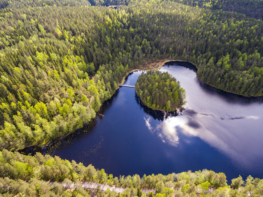Natuur bij Helsinki Natuur bij Helsinki