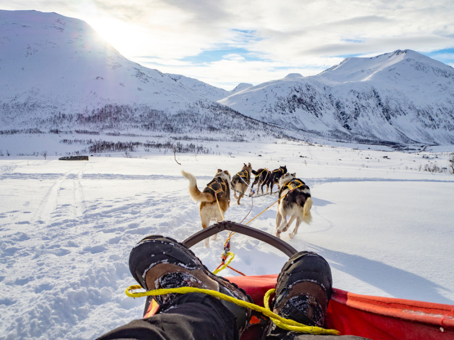 Dog sledding Noorwegen Dog sledding Noorwegen