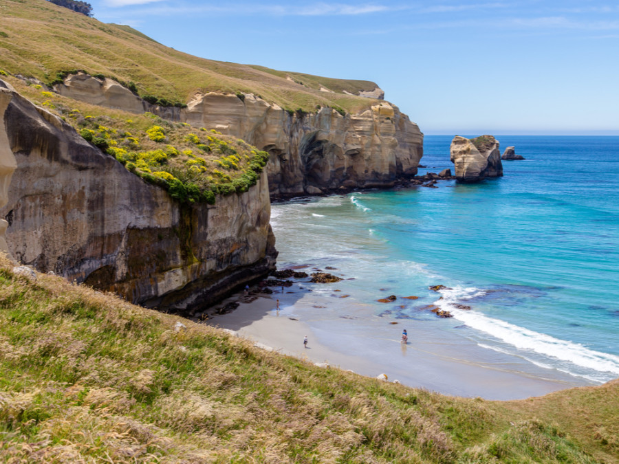 Dunedin Tunnel Beach Dunedin Tunnel Beach