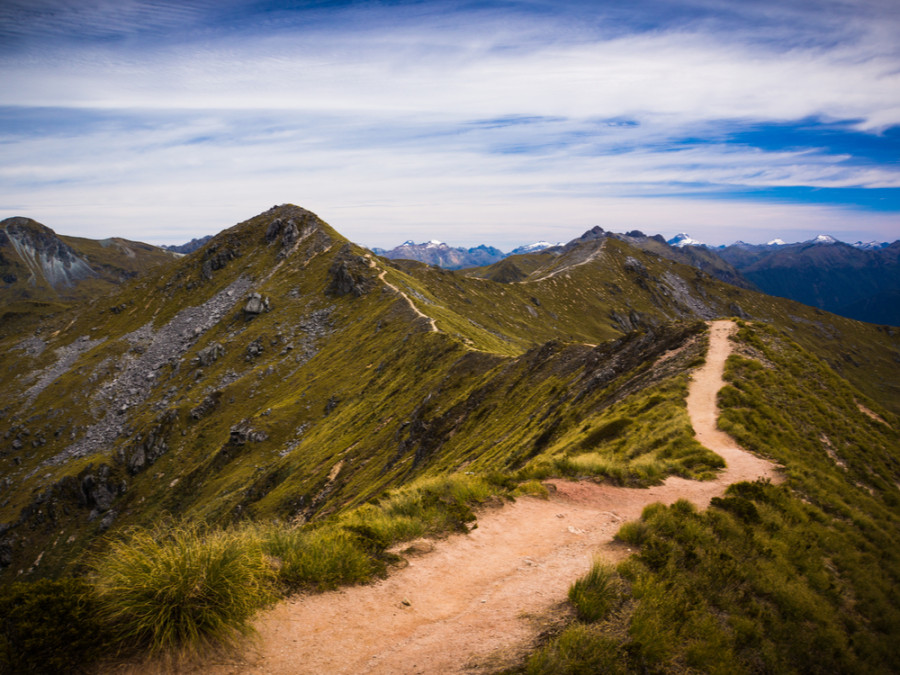 Mooiste trails Nieuw-Zeeland