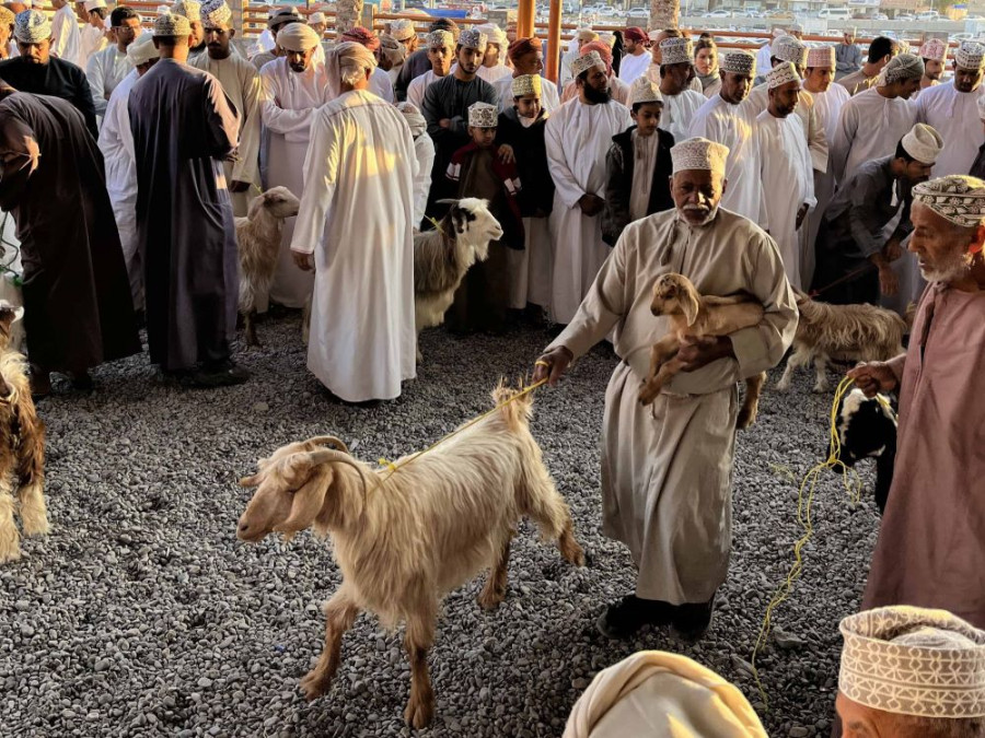 Omani's verkopen hun geiten Omani's verkopen hun geiten