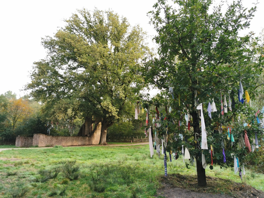 Natuurgebieden bij Nijmegen Natuurgebieden bij Nijmegen