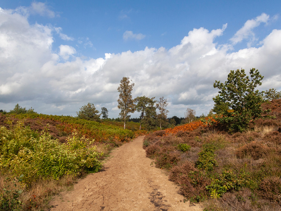 Mooiste natuurgebieden in Overijssel Mooiste natuurgebieden in Overijssel