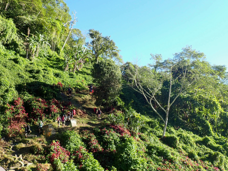 Kokoda Kokoda