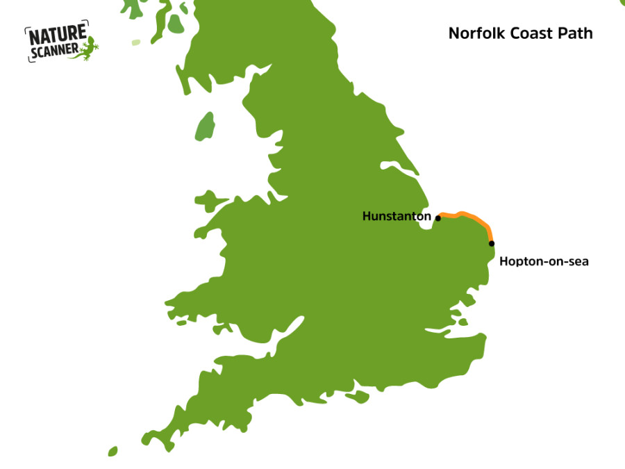 Norfok Coast Path kaart Norfok Coast Path kaart