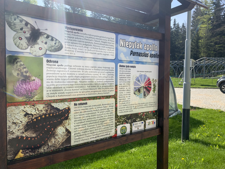Vlindertuin aan de start van wandelpad Karkonosze Vlindertuin aan de start van wandelpad Karkonosze