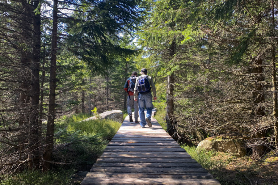 Wandelpad richting Sniezne Kotly Wandelpad richting Sniezne Kotly