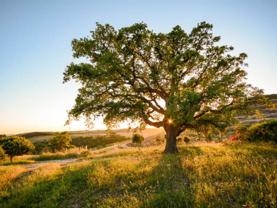 Prachtige natuur Prachtige natuur