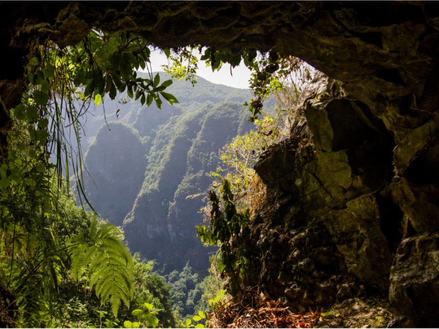 Wandelreis Madeira Wandelreis Madeira