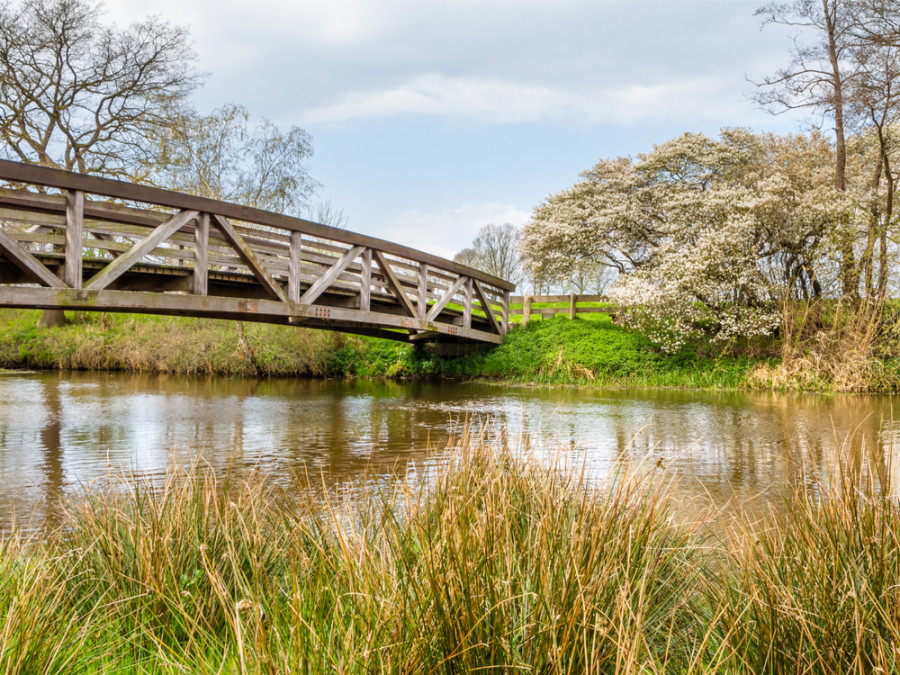 Brug over de Regge Brug over de Regge