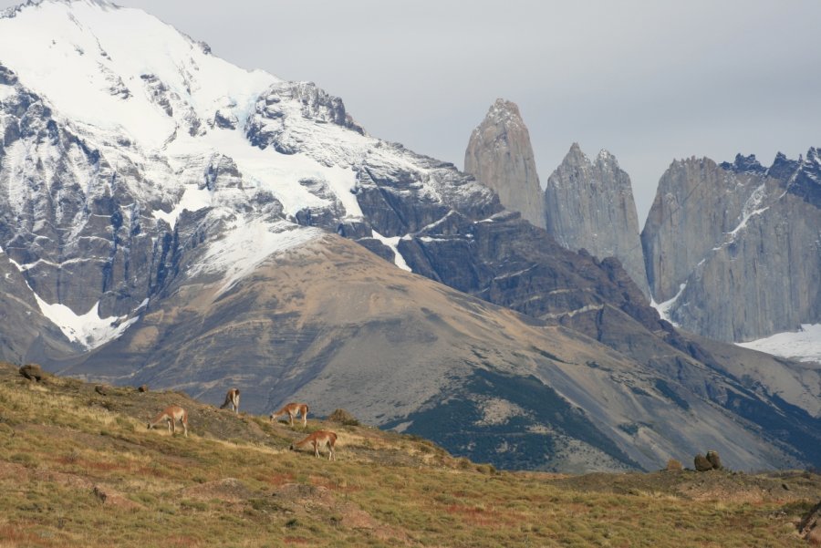 Torres del Paine rotsen