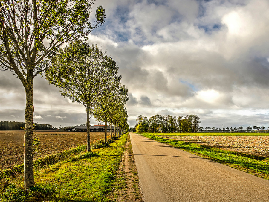 Roadtrip door Flevoland Roadtrip door Flevoland