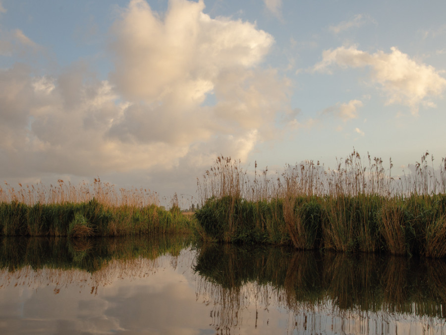 Natuur Blankaart Natuur Blankaart