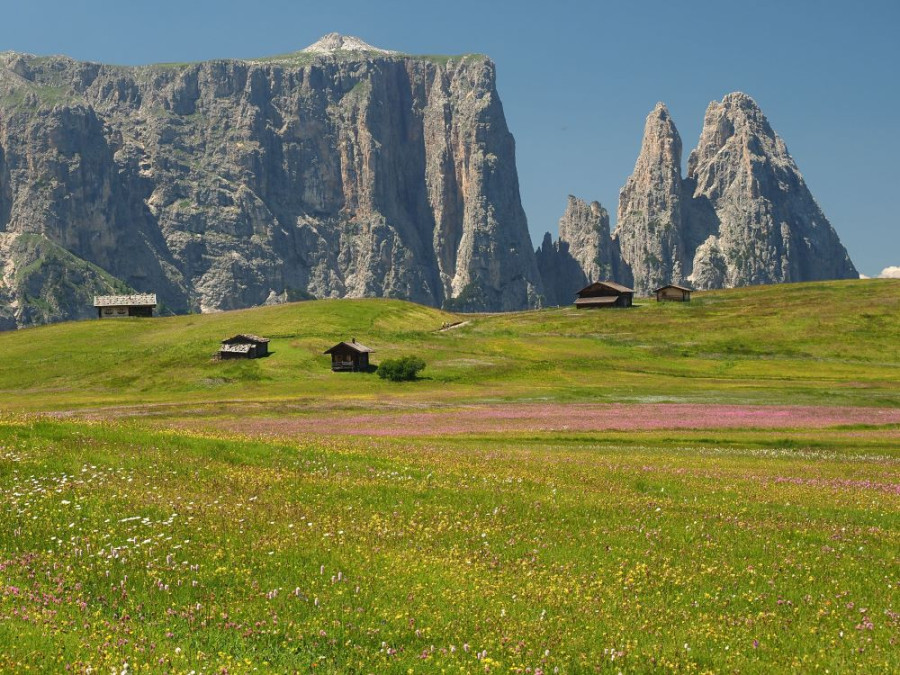 Schlern Rosengarten Schlern Rosengarten