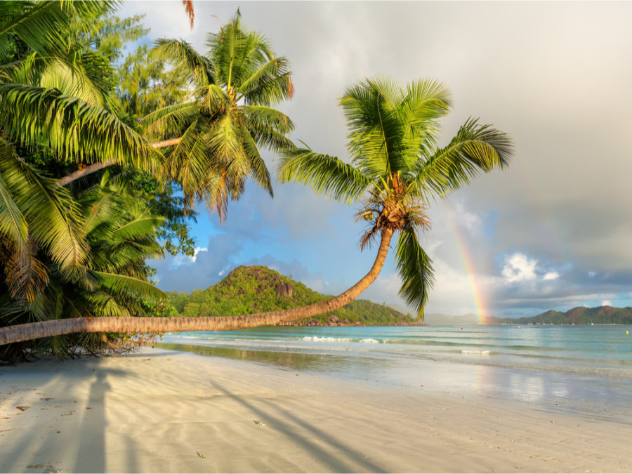 Praslin eiland Praslin eiland