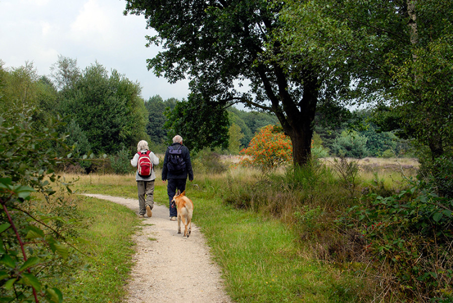 Wandelen Havelterberg Wandelen Havelterberg