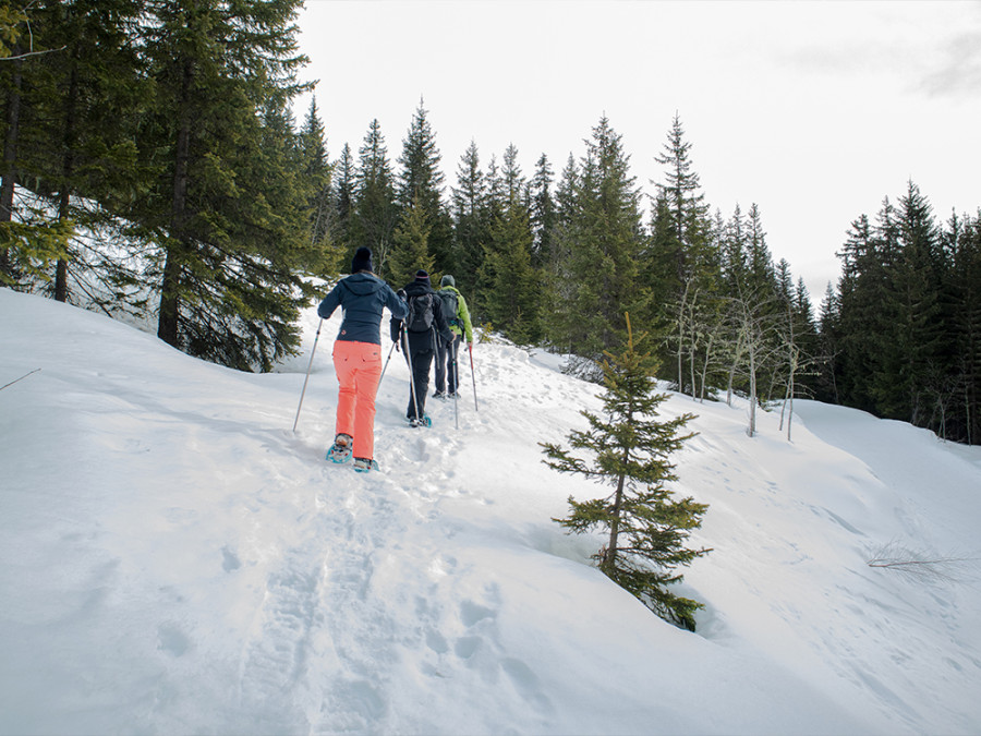Sneeuwschoenwandelen Méribel Sneeuwschoenwandelen Méribel