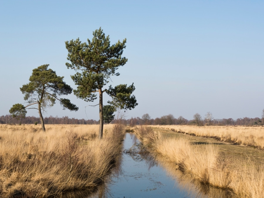 Natuurvakantie Noord-Brabant