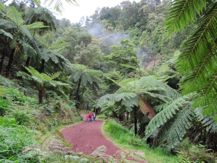 Natuur op het eiland Sao Miguel