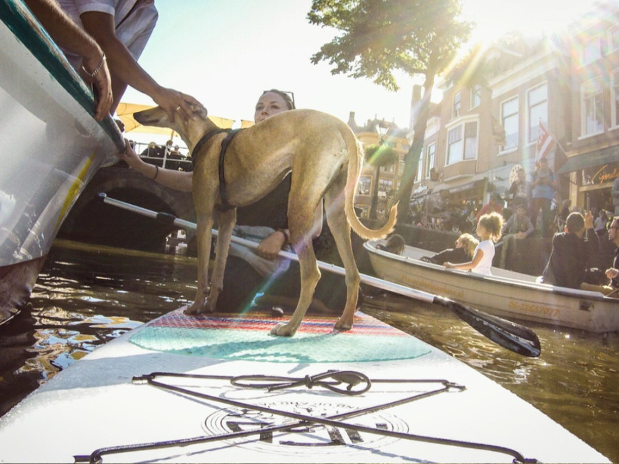 Doen in Alkmaar Doen in Alkmaar