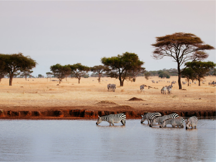 Mooiste plekken Serengeti Mooiste plekken Serengeti