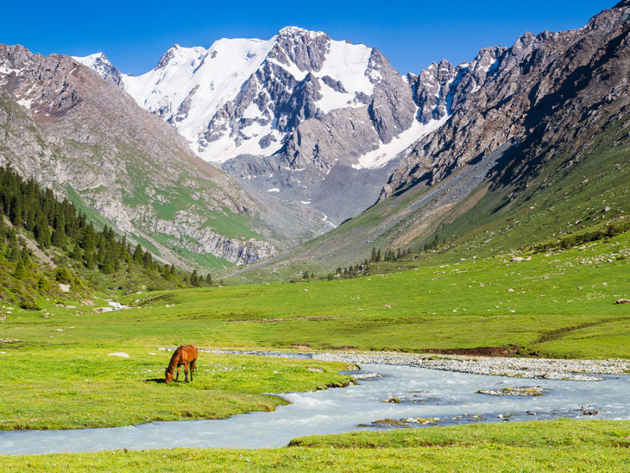 Gebergtes Kazachstan Gebergtes Kazachstan