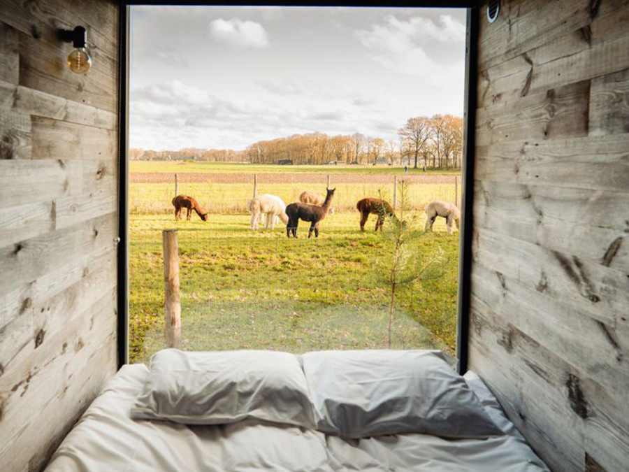 Tiny house overnachtingen Tiny house overnachtingen