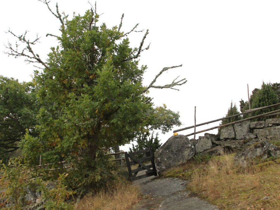 Wandelpad Wandelpad