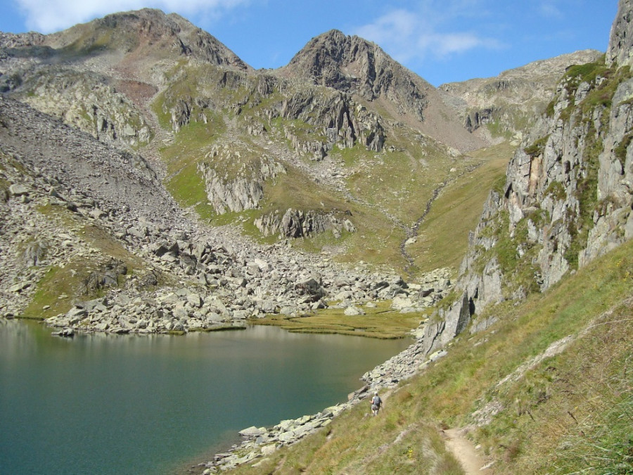 Tomassee Tomassee