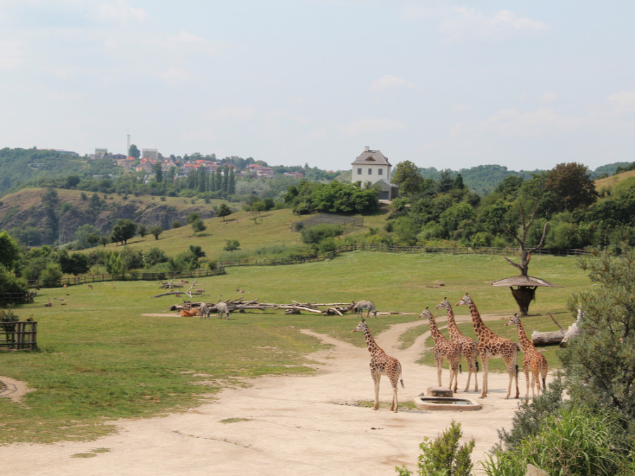 Praag Zoo Praag Zoo