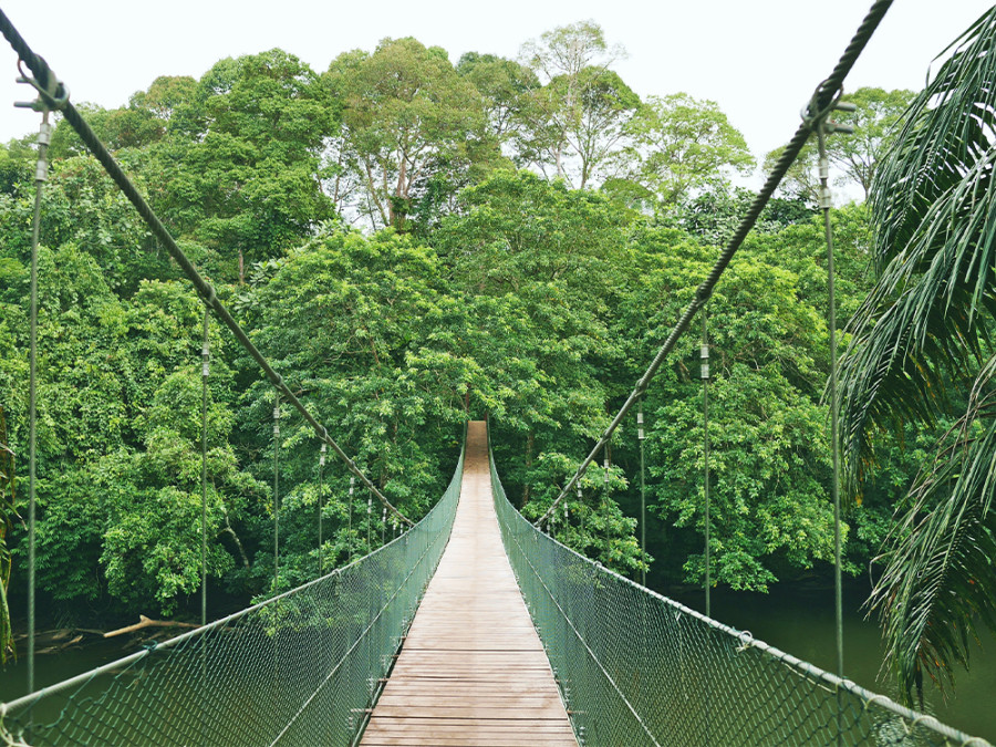 Mooiste plekken Brunei Mooiste plekken Brunei