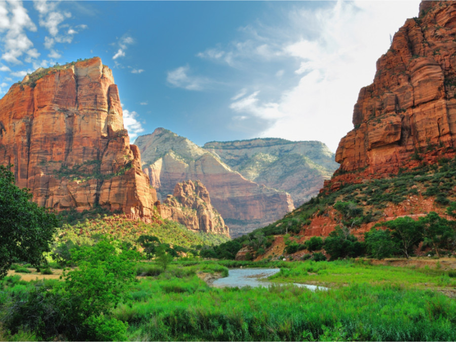 Zion Zion