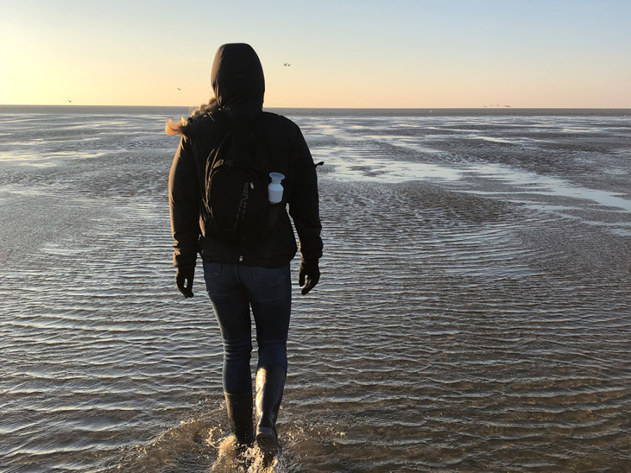 Wadlopen tips Wadlopen tips